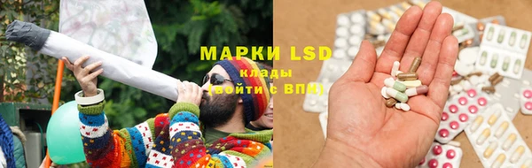 индика Новозыбков