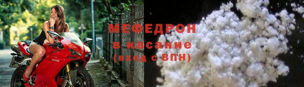индика Новозыбков