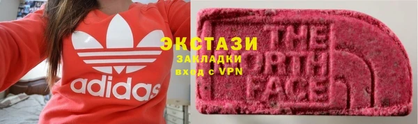 индика Новозыбков