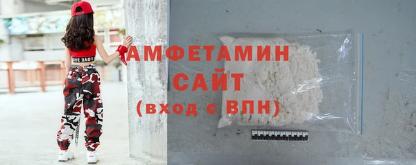 индика Новозыбков