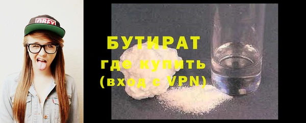 индика Новозыбков