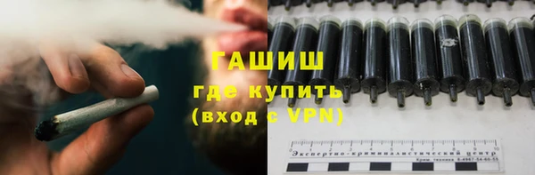 гашик Новодвинск