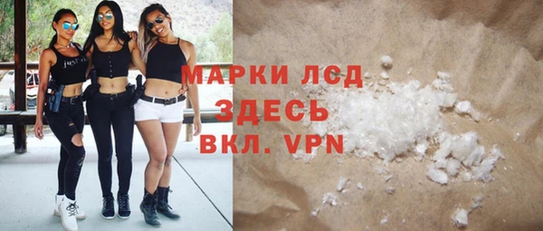 гашик Новодвинск