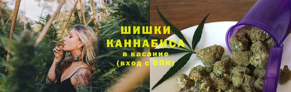 гашик Новодвинск