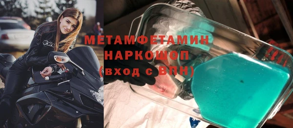 индика Новозыбков