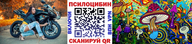 Галлюциногенные грибы Psilocybe Похвистнево
