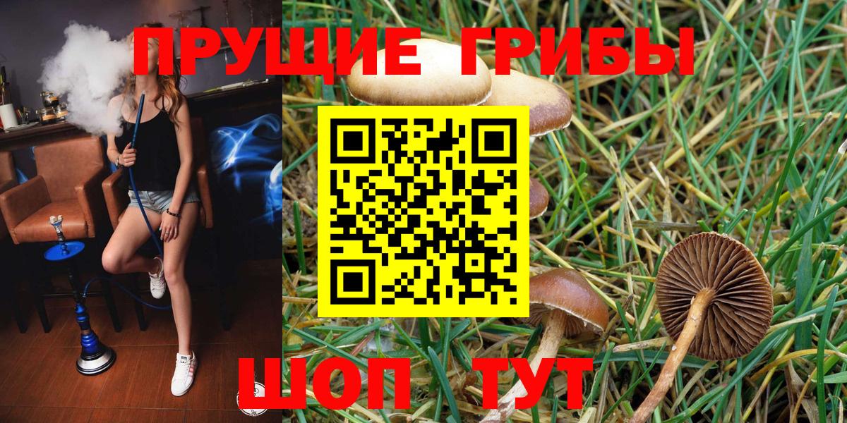 Псилоцибиновые грибы ЛСД Похвистнево