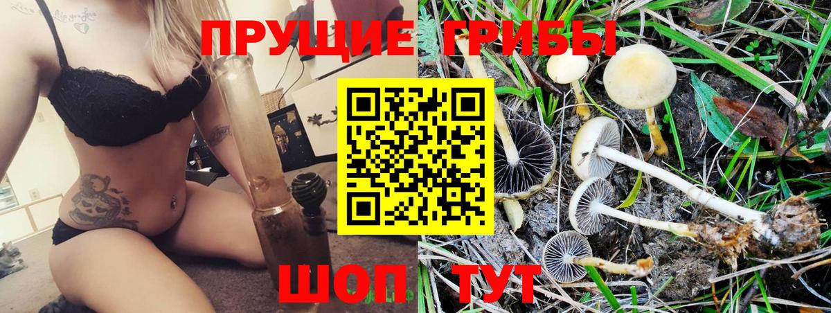 Галлюциногенные грибы Magic Shrooms  купить  цена  Похвистнево  Вход с VPN 